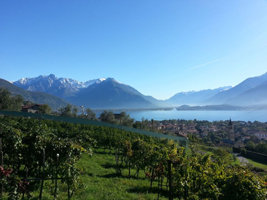 Lake Como: Winery Tour with Wine Tasting - How the $74 price holds up