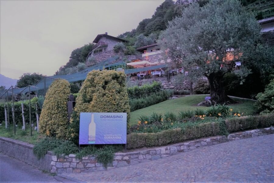 Lake Como: Winery Tour with Wine Tasting - Food needs and special requests