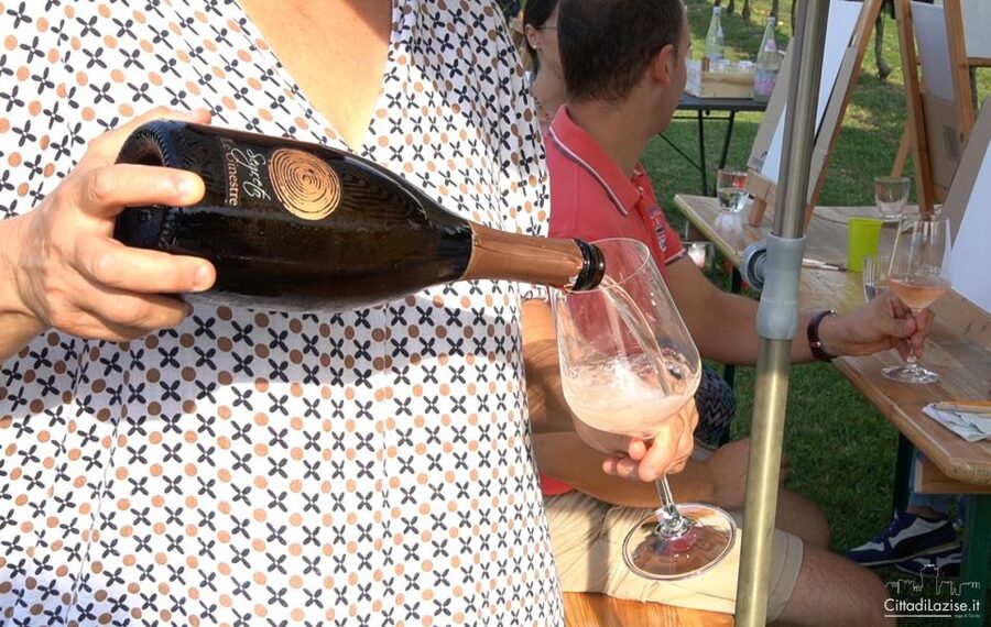 Lake Garda: Wine and Food Tastings in the Vineyards - Key points to know