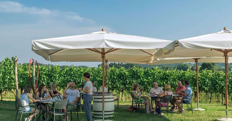 Lake Garda: Wine and Food Tastings in the Vineyards - A relaxed tasting at Azienda Agricola Le Ginestre