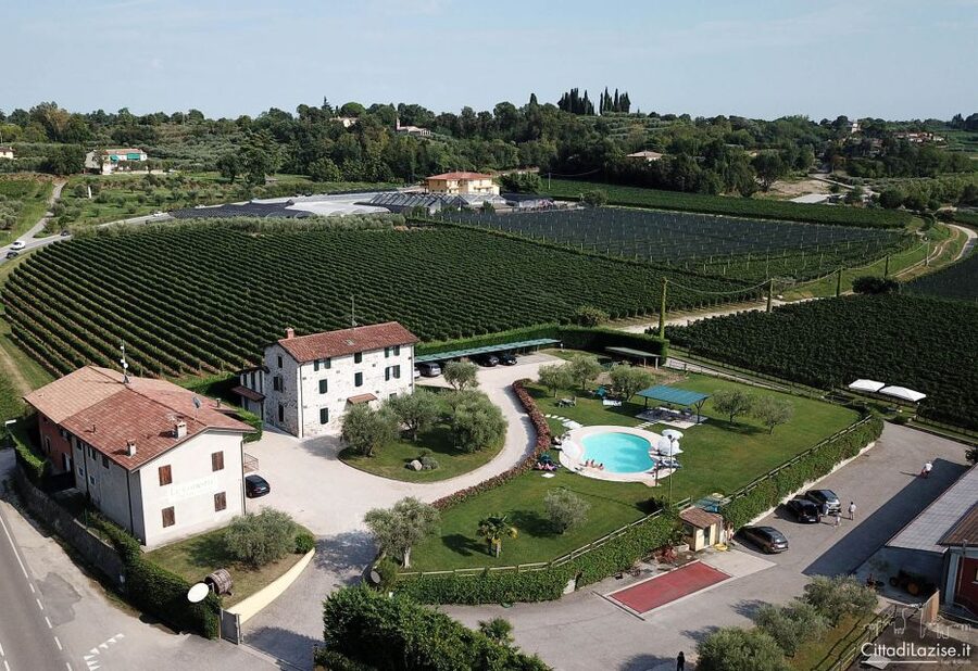 Lake Garda: Wine and Food Tastings in the Vineyards - What the setting adds to the tasting