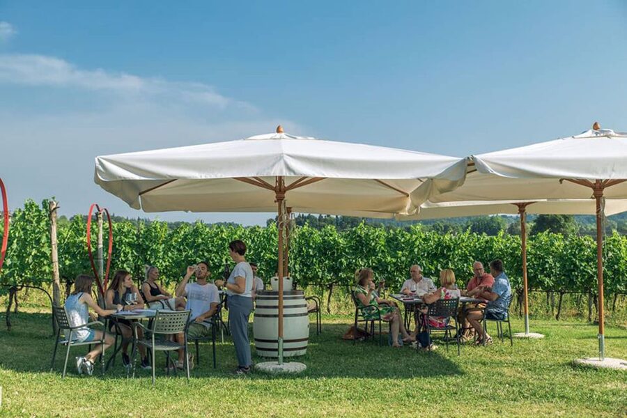 Lake Garda: Wine and Food Tastings in the Vineyards - Six wines, from sparkling to red