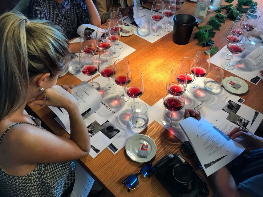 Lake Garda: Wine Tour and Tasting Experience in Bardolino - Key points to know before booking