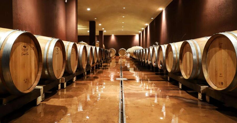 Lake Garda: Wine Tour and Tasting Experience in Bardolino - Arriving at Tenuta La Cà above Bardolino