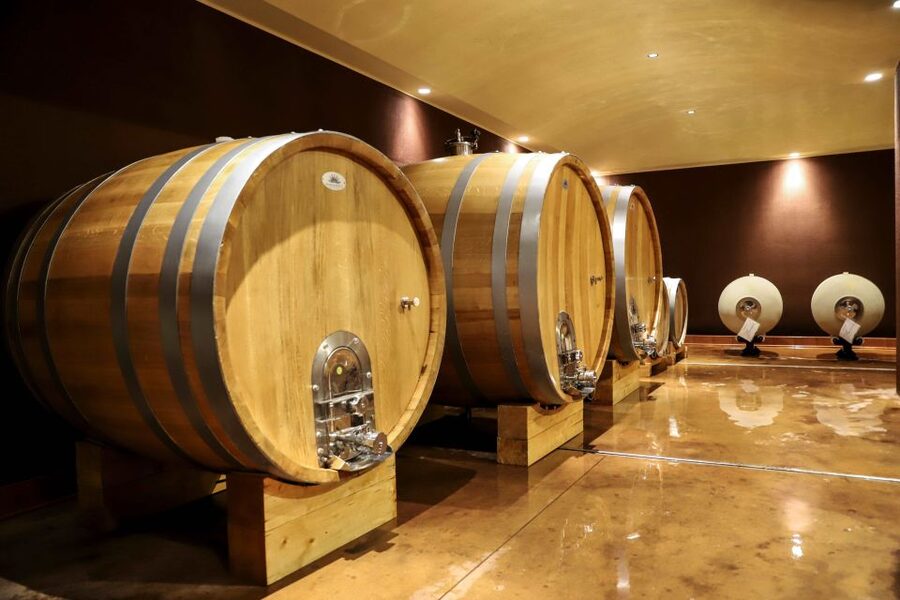 Lake Garda: Wine Tour and Tasting Experience in Bardolino - Should you book Tenuta La Cà?