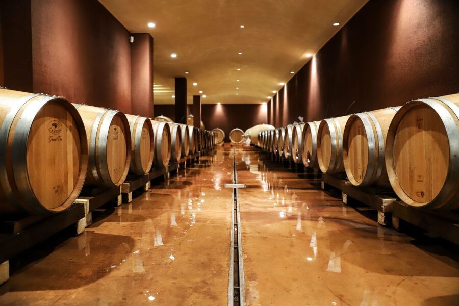 Lake Garda: Wine Tour and Tasting Experience in Bardolino - What happens during the 90-minute winery visit