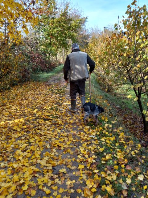 Langhe: Truffle Hunting Experience - Is $94 good value?