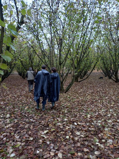 Langhe: Truffle Hunting Experience - The 1.5-hour and 3.5-hour choices