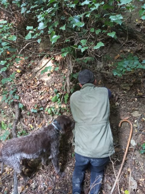 Langhe: Truffle Hunting Experience - Meeting in Alba, then following the guide into the hills