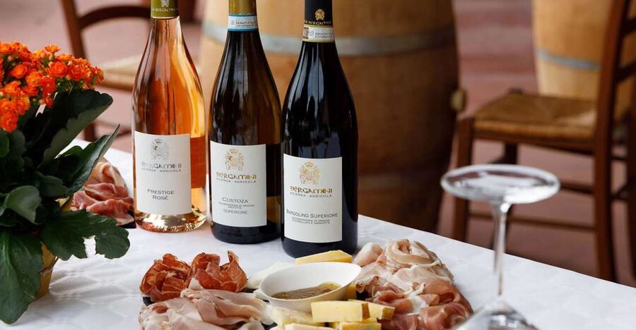 Lazise: Winery Tour with Garda Wines and Food Tasting - Key points to know