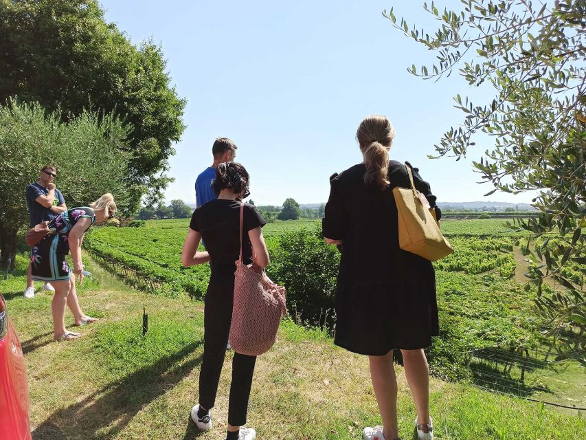 Lazise: Winery Tour with Garda Wines and Food Tasting - A vineyard visit just outside Lazise