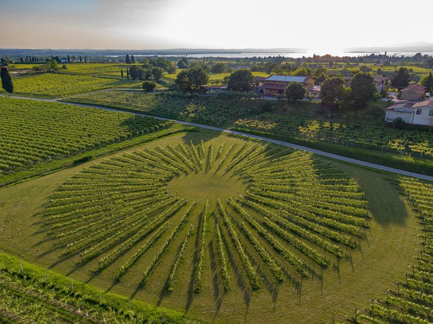 Lazise: Winery Tour with Garda Wines and Food Tasting - Who will enjoy Bergamini Vini most?