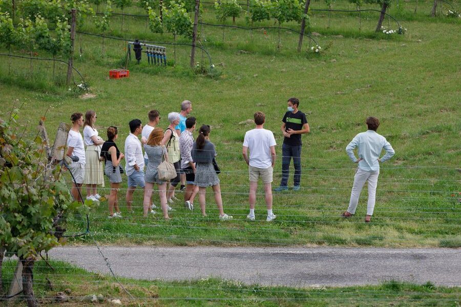 Lazise: Winery Tour with Garda Wines and Food Tasting - Practical details before you go