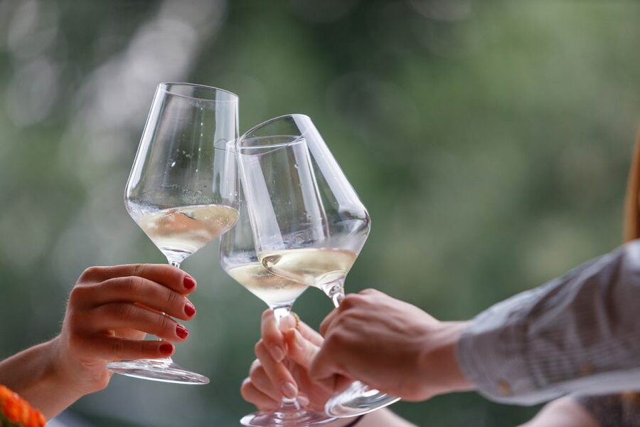 Lazise: Winery Tour with Garda Wines and Food Tasting - From grape to bottle in the cellar