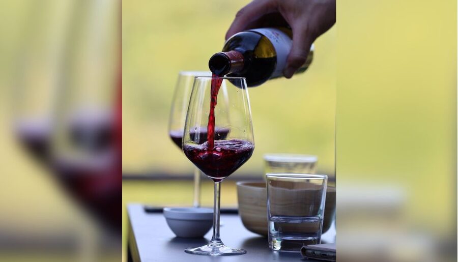 Lucca: Guided Winery Tour with Wine Tasting - The 15 to 20 minute cellar tour