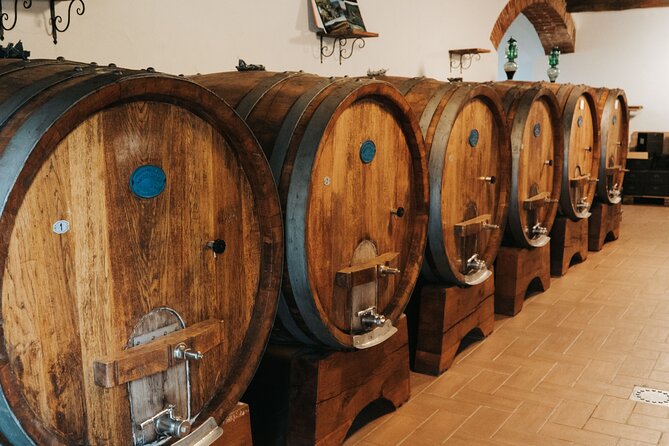 Lucca: Wine Tasting Experience - Tenuta Adamo Winery - The guides and the tone of the experience