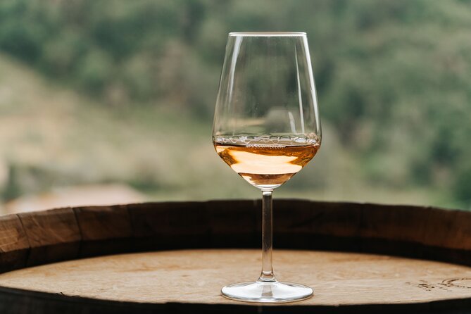 Lucca: Wine Tasting Experience - Tenuta Adamo Winery - Who will enjoy Tenuta Adamo most
