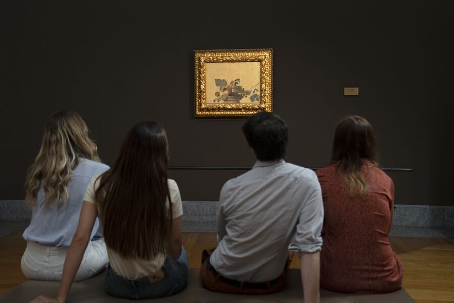 Milan: Pinacoteca Ambrosiana & da Vinci Codex Exhibition - Who will enjoy the Ambrosiana most