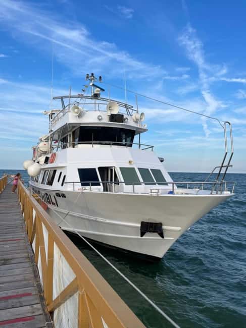 Milano Marittima: Riviera Romagnola Half-Day Boat Tour - Key points to know before you book