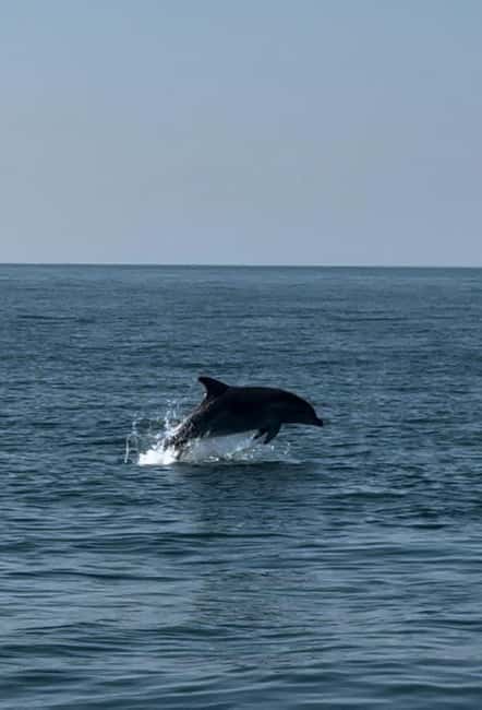 Milano Marittima: Riviera Romagnola Half-Day Boat Tour - Who will enjoy this boat tour most
