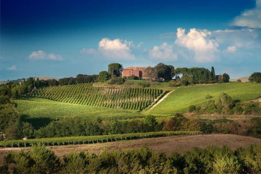 Montalcino: Brunello Wine Tasting & Lunch in a Tuscan Castle - A Three-Course Tuscan Lunch