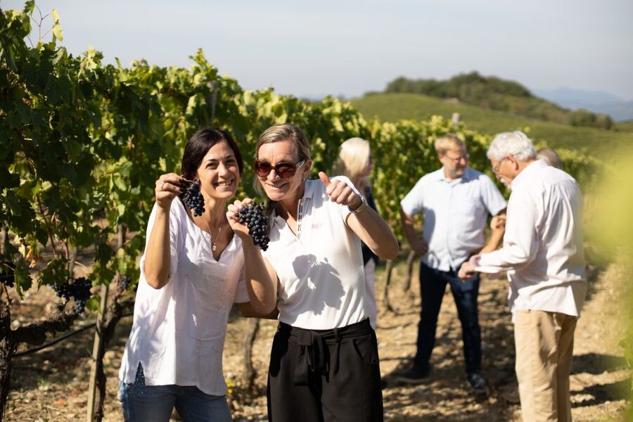Montalcino: Guided Winery Tour and Wine Tasting - Key points to know before booking