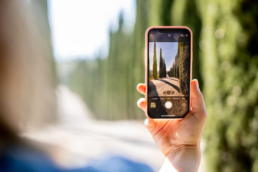 Montalcino: Guided Winery Tour and Wine Tasting - Should you book Corte Pavone?