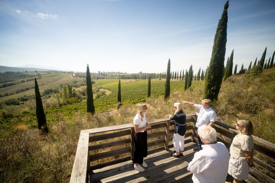 Montalcino: Guided Winery Tour and Wine Tasting - Walking the vineyards for one hour