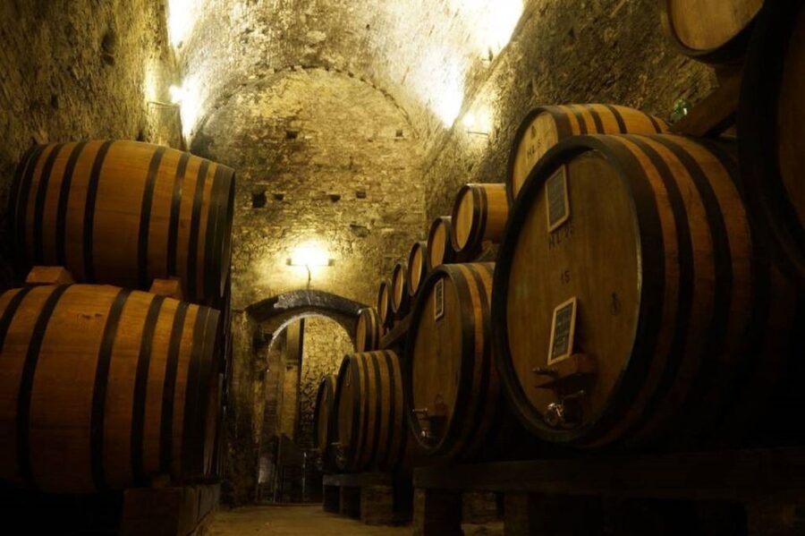 Montepulciano: Wine Tasting and Cellar Tour - Five wines, with a possible sixth pour