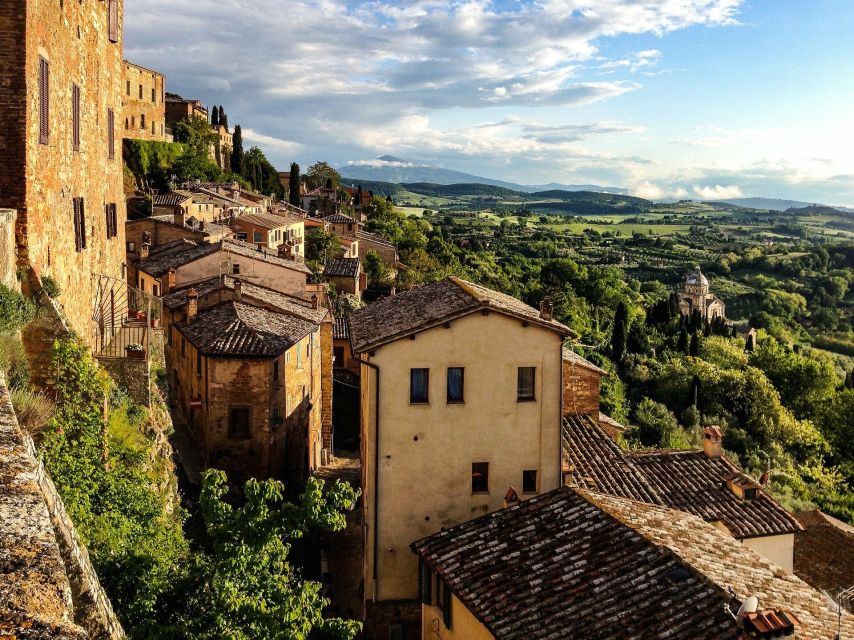 Montepulciano: Winery Tour and Tasting - What you learn before the tasting
