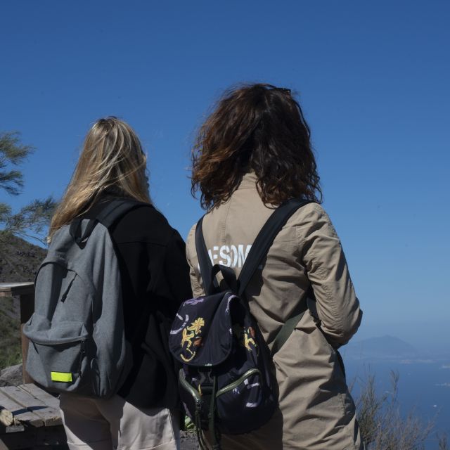 Mount Vesuvius: Skip-the-Line Ticket and Smart Digital Guide - The hike from the entrance to the crater