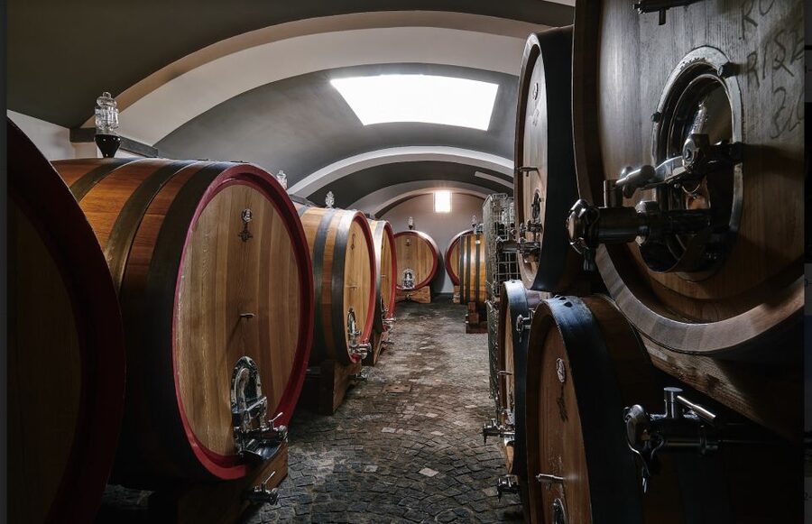 Mount Vesuvius: Vineyard Tour with Wine Tasting and Lunch - Lacryma Christi DOC in three styles
