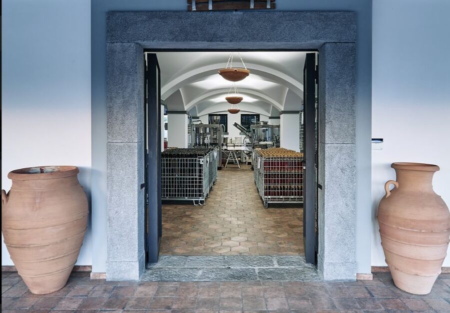Mount Vesuvius: Vineyard Tour with Wine Tasting and Lunch - Who will enjoy this experience most