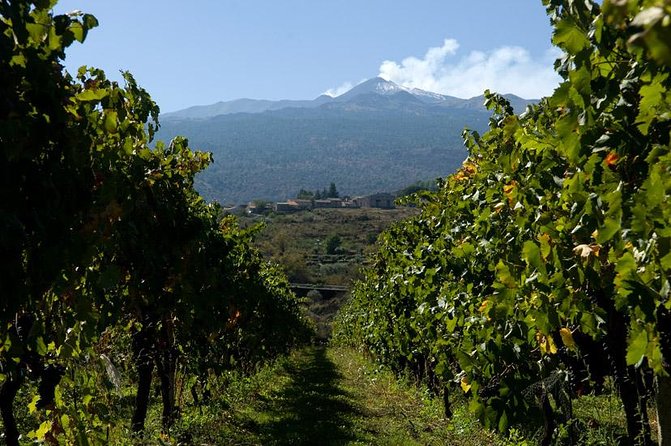Mt Etna and Wine tasting tour from Catania - Who will enjoy this tour most