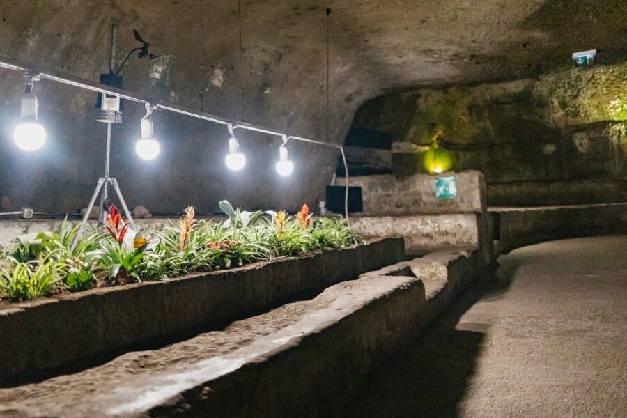 Naples: Naples Underground Entry Ticket and Guided Tour - What the guide adds to the 2,400-year story