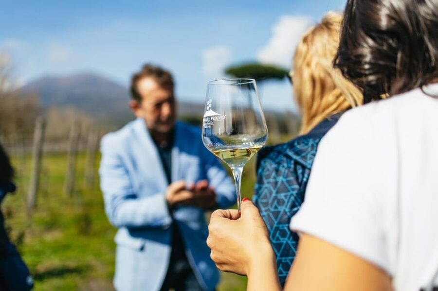 Naples: Pompeii and Mt. Vesuvius with Lunch and Wine Tasting - Choose your Vesuvius route carefully