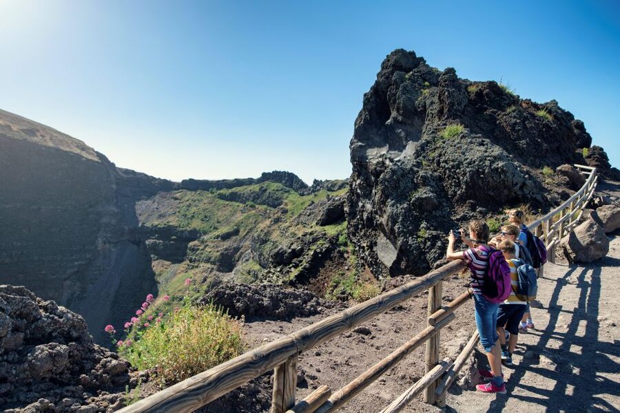 Naples: Pompeii & Mt. Vesuvius Day Trip with Tickets & Lunch - Lunch near the volcano