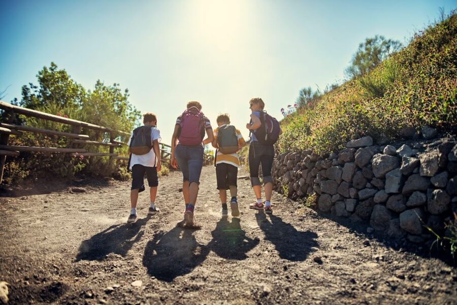 Naples: Pompeii & Mt. Vesuvius Day Trip with Tickets & Lunch - Is the $126.65 price fair?