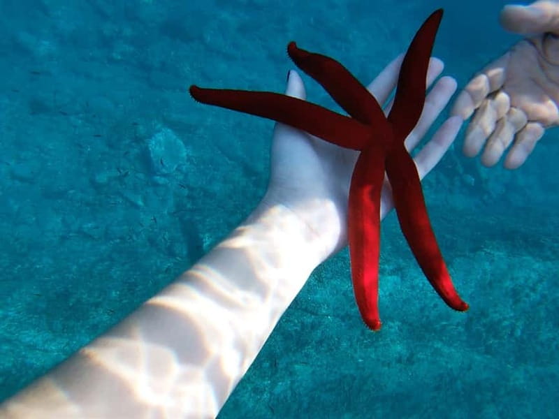 Naxos: Taormina Boat Tour with Snorkeling and Prosecco - Why Taormina looks best from the water