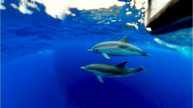 Naxos: Taormina Boat Tour with Snorkeling and Prosecco - Prosecco, fruit, sweets, and music on deck