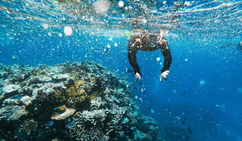 Naxos: Taormina Boat Tour with Snorkeling and Prosecco - White Lotus locations and Taormina from offshore