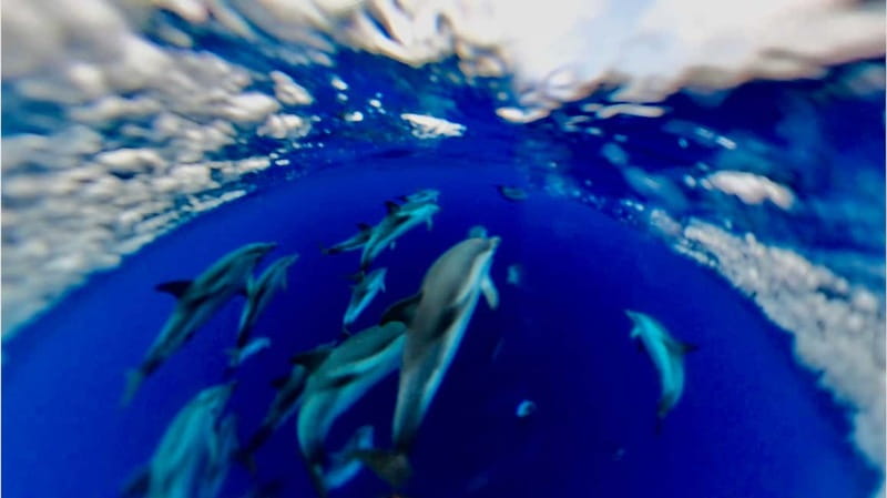 Naxos: Taormina Boat Tour with Snorkeling and Prosecco - Who will enjoy this boat tour most?