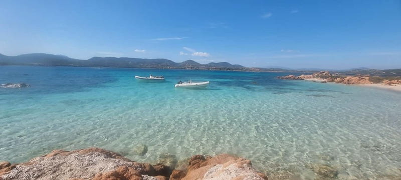Olbia: Dolphin Watching & Swim and snorkel in Capo Figari - Key points to know before you book