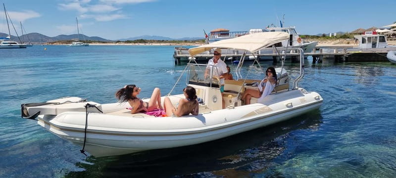 Olbia: Dolphin Watching & Swim and snorkel in Capo Figari - Why the dolphins near Figarolo matter