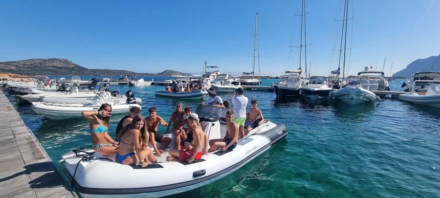 Olbia: Dolphin Watching & Swim and snorkel in Capo Figari - Dolphin watching near the fish farm