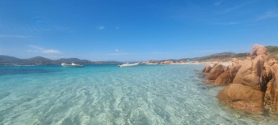 Olbia: Dolphin Watching & Swim and snorkel in Capo Figari - What the guide and captain add
