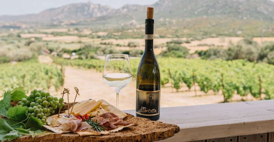 Olbia: Gallura Winery Guided Tour with Tasting - Key points to know before booking
