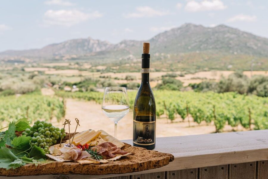 Olbia: Gallura Winery Guided Tour with Tasting - Inside the winery and barrel cellar