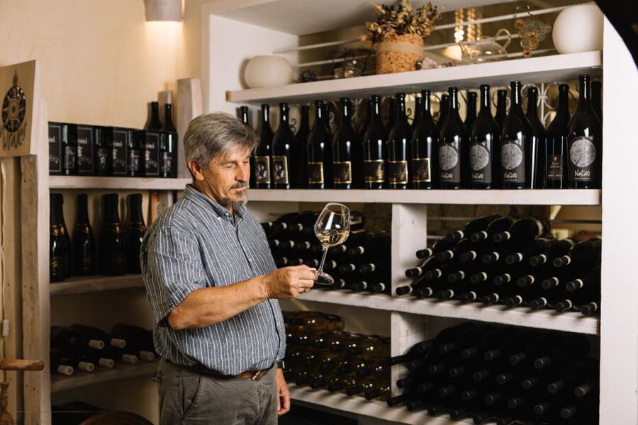 Olbia: Gallura Winery Guided Tour with Tasting - The pace suits beginners and casual wine drinkers