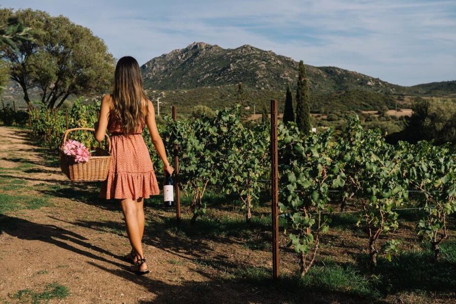 Olbia: Gallura Winery Guided Tour with Tasting - Is $61 a fair price?